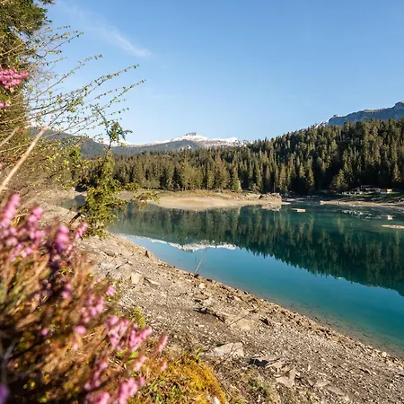 Vallada 11-06 By Interhome * Flims